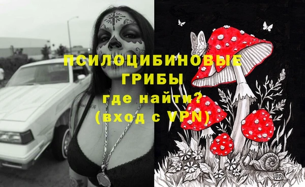 ALPHA PVP Алексеевка