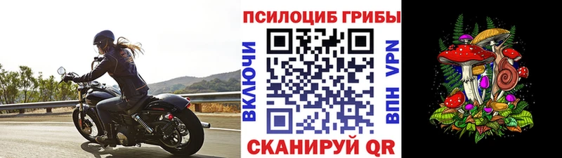 Псилоцибиновые грибы мицелий  купить наркоту  Ардон 